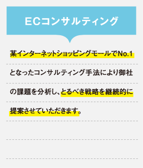 ECコンサルティング